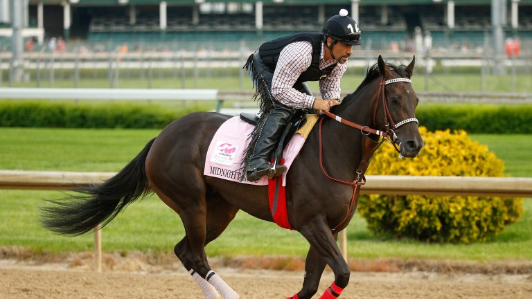 Midnight Bisou: a leading contender at Belmont