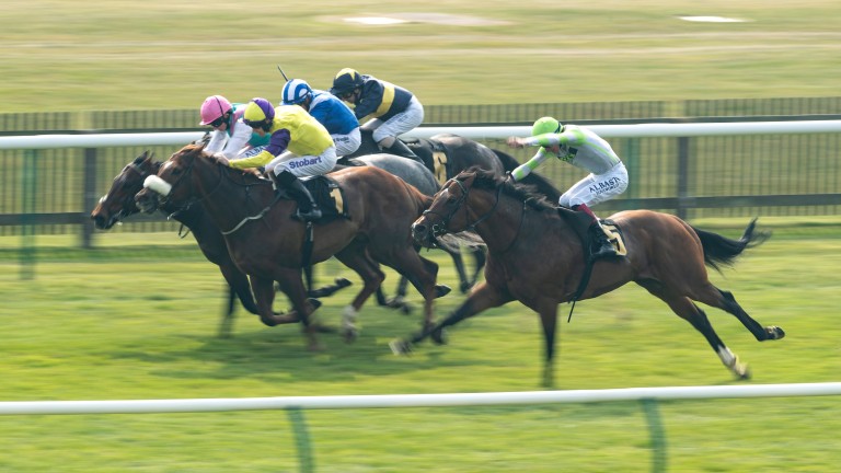 Keystroke (near side) gets up to win the Abernant Stakes