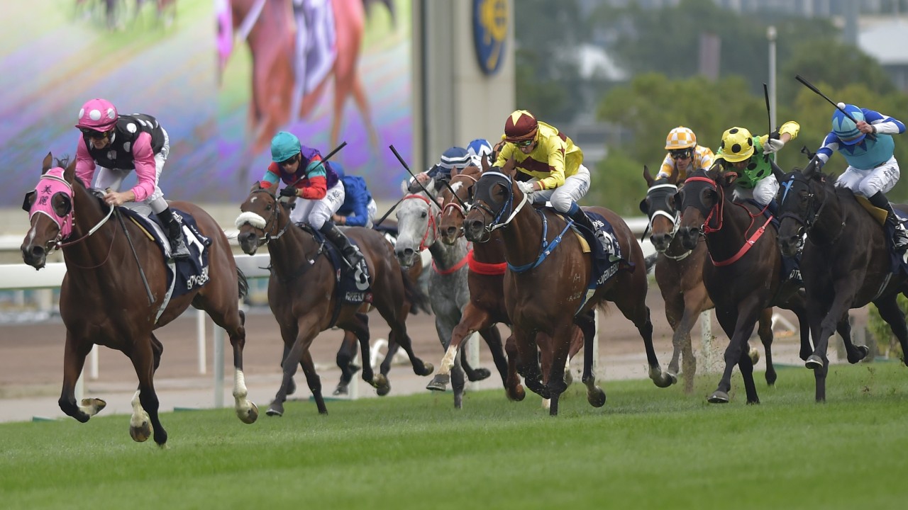 Graham Cunningham s Expert Analysis Of The Stars On Show At Sha Tin On 