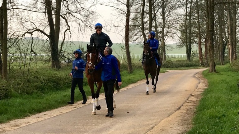 Barney Roy and William Buick at Moulton Paddocks on Wednesday