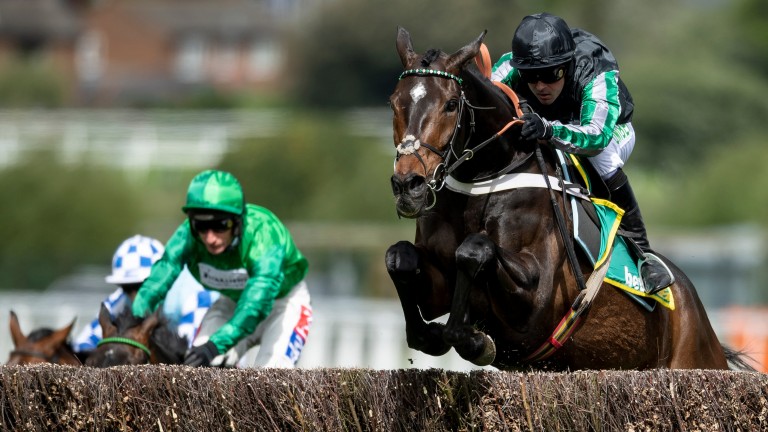 Nicky Henderson said: "We're going to have to sit down and regroup"
