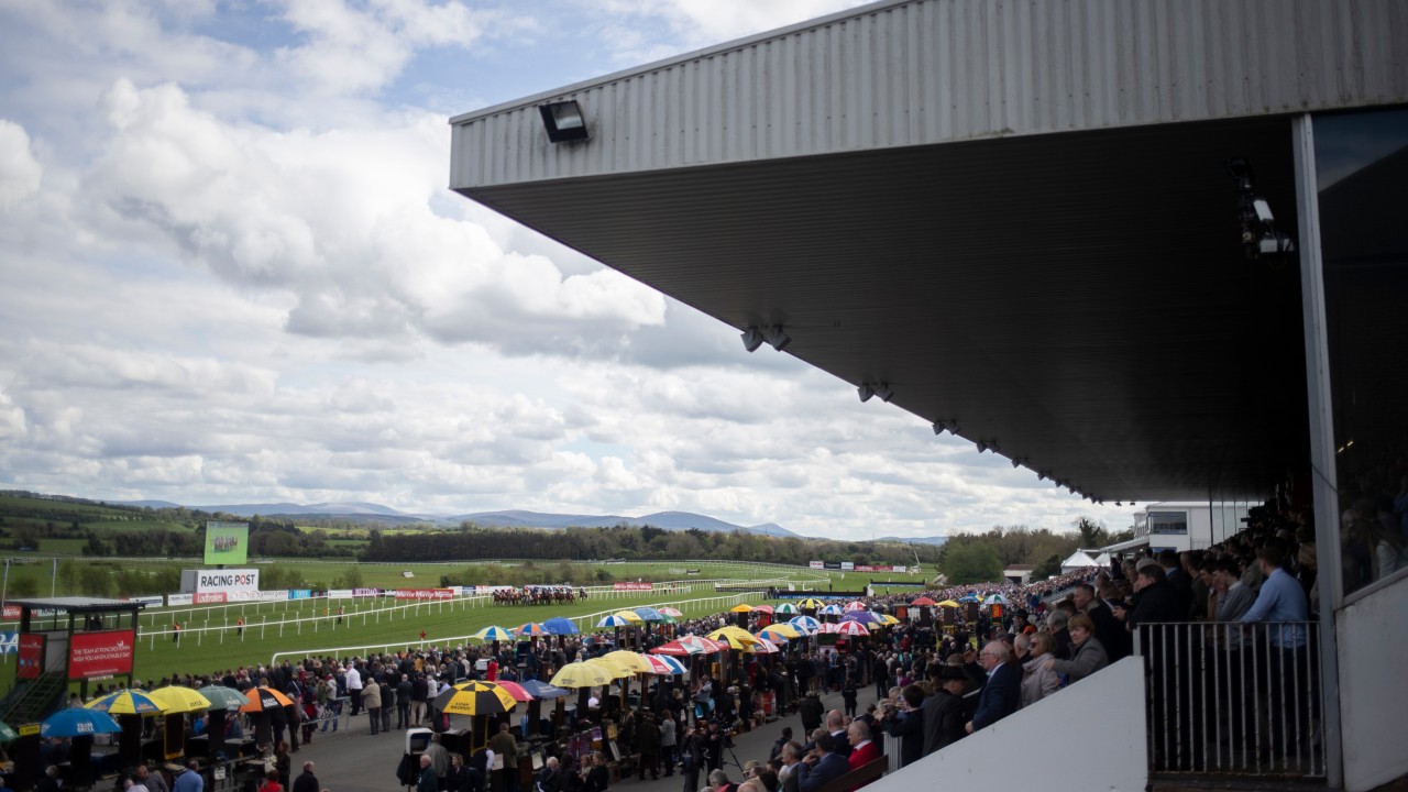 Punchestown excited about staging first Flat fixture since 2002 on