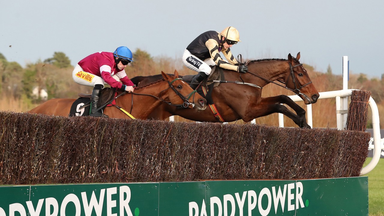 paddy power irish gold cup