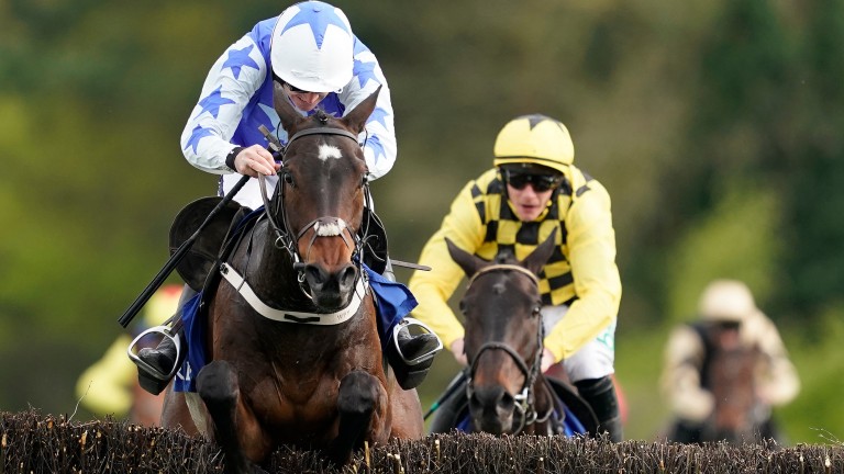 Gold Cup favourite Kemboy is currently banned from being entered or declared for any race