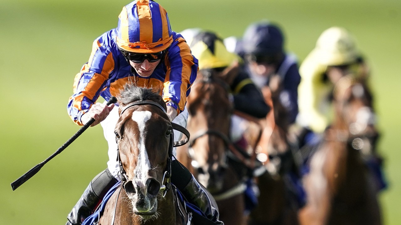 Dark Angel Half Sister To Just Wonderful Set For Tipperary Debut For Coolmore Bloodstock News Racing Post