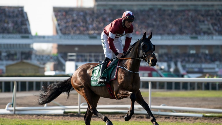 Tiger Roll: ten million ITV viewers watched him win the Grand National