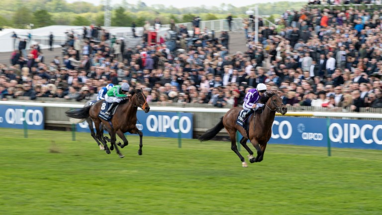 Magna Grecia stretches clear of King Of Change to land the 2,000 Guineas