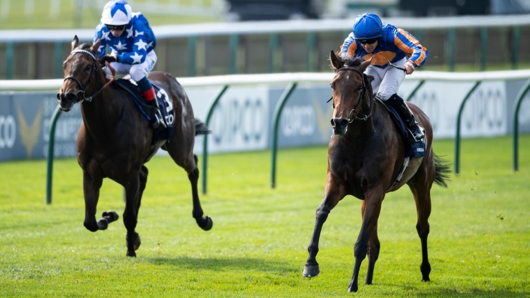 Hermosa and Wayne Lordan (right) win the Qipco 1,000 Guineas at Newmarket