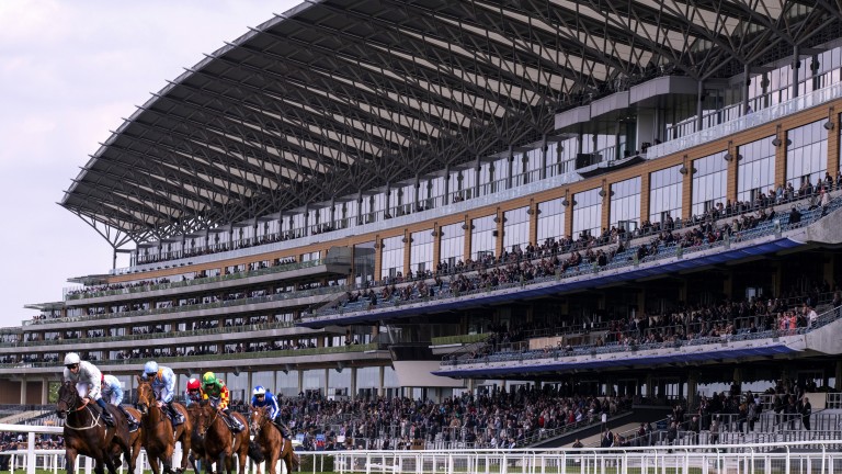 Ascot has unveiled "robust" financial results for 2018