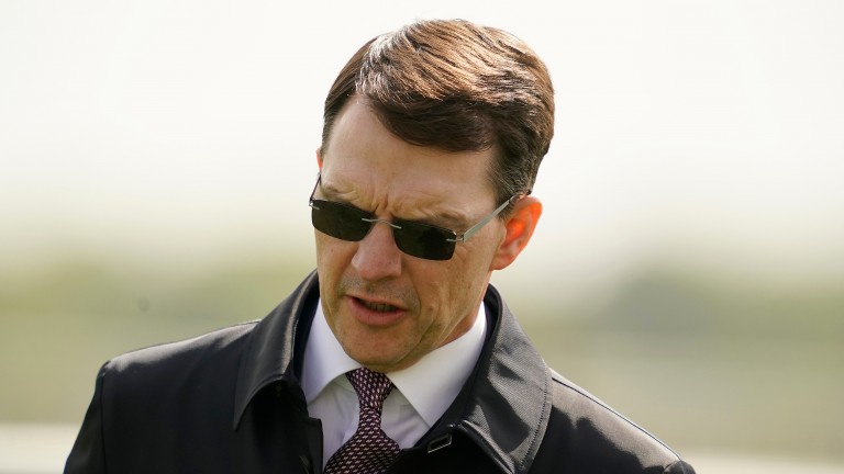 Aidan O'Brien: strong hand in the Derby
