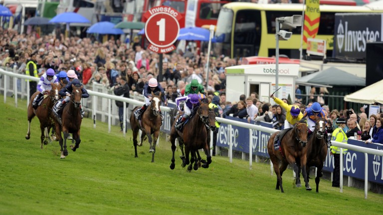 William hill 2000 guineas odds for today