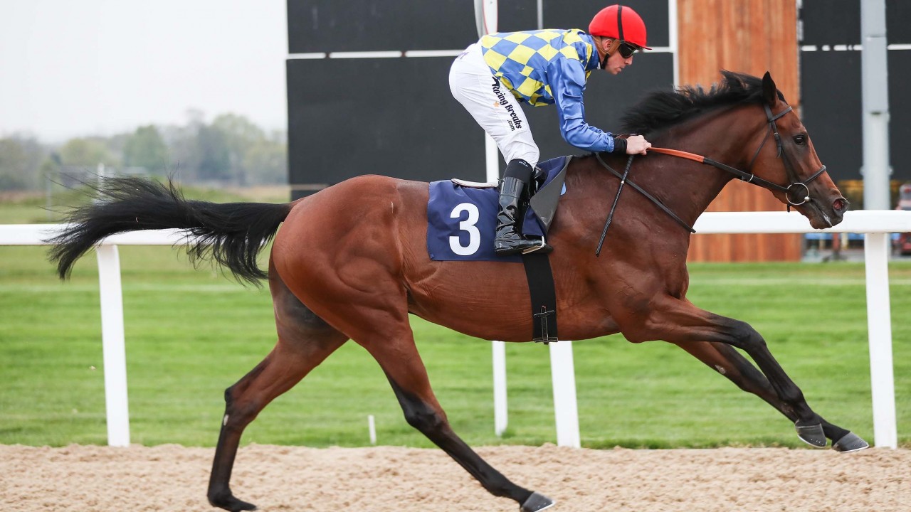 Roger Varian Horses In Training Roger Varian Horses In Training