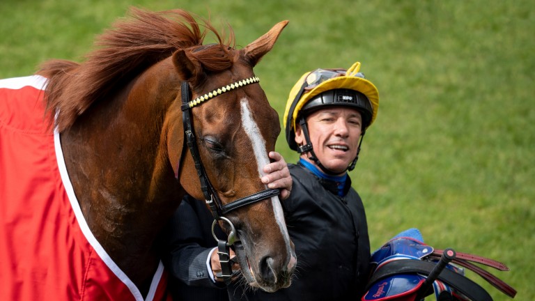 Stradivarius (Frankie Dettori) after the Yorkshire Cup York 17.5.19 Pic: Edward Whitaker