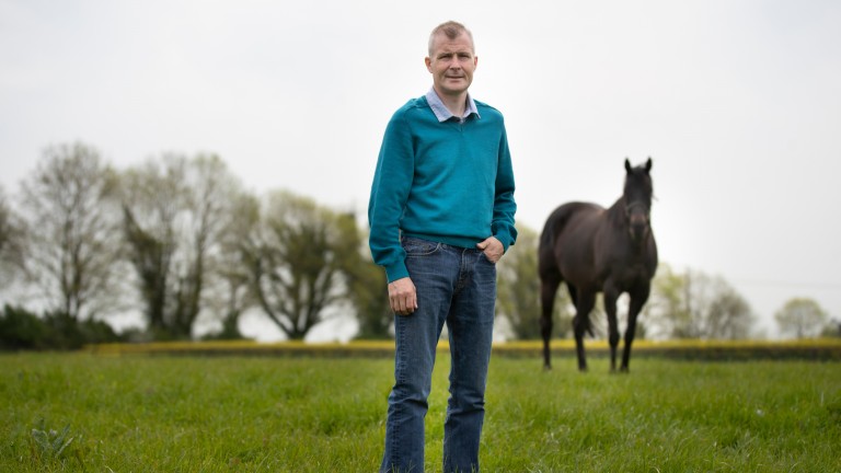 Pat Smullen at his Brickfield Stud base: "I walked the paddocks to calm everything down"