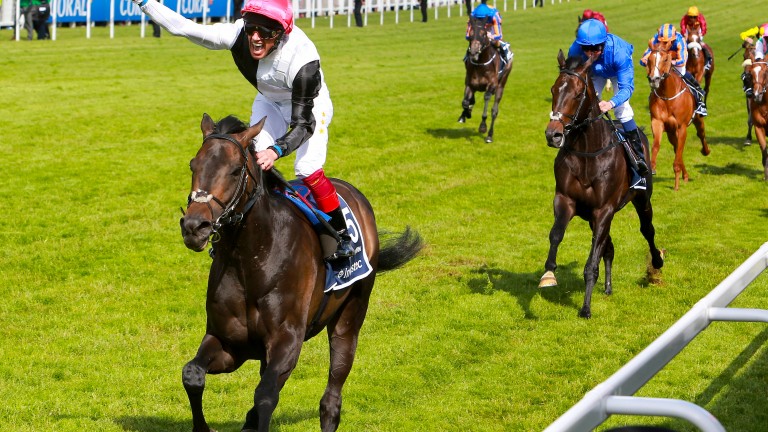 Golden Horn's talent was immediately clear to followers of sectional timing