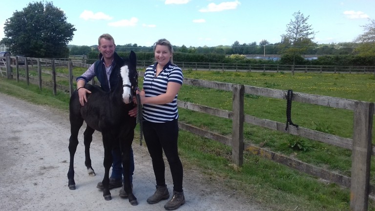 TJ and Bea Fuller with Winston, Cara's Irish draught colt foal