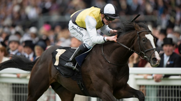 Berkshire (Jim Crowley) wins the Chesham Stakes at Royal Ascot in 2013