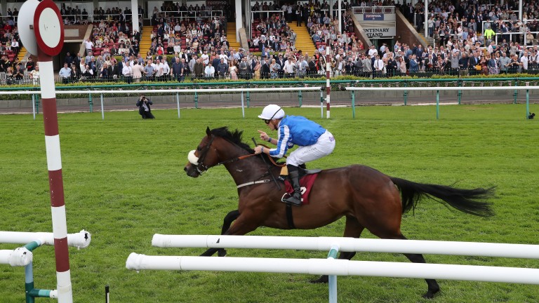 Hello Youmzain: winner of the Sandy Lane