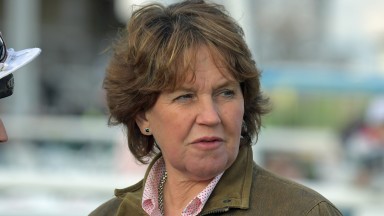 Race horse trainer DIANNE SAYER.