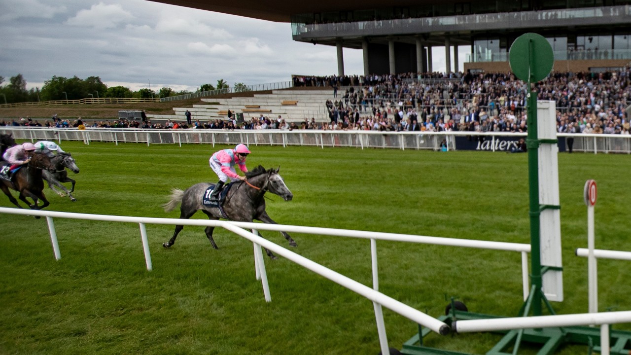 Irish 2000 guineas betting advice Irish 2000 guineas betting advice betting on us election 2022 map