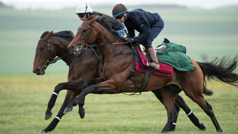 Bounding towards the Derby: Telecaster and Oisin Murphy (nearest) breeze 5f with Marmelo on the grass gallops at Summerdown Stables on Monday morning