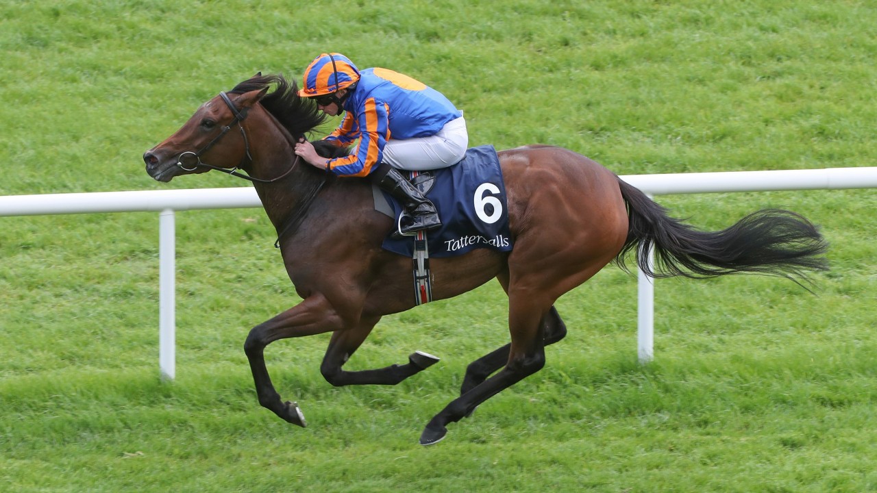 Going For Gold Hermosa Heads Cartier Horse Of The Year - 