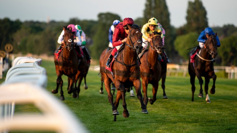 King Of Comedy leads home a one-two-three for Kingman in the Listed Heron Stakes at Sandown
