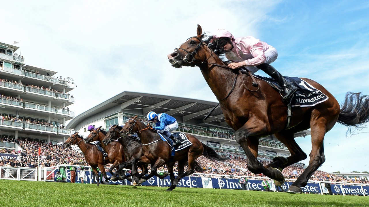 the truth about betting on horse racing the truth about betting on horse racing