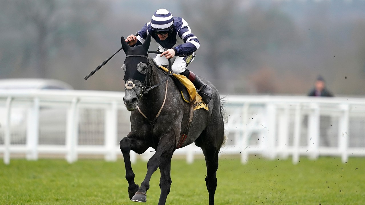 racing post greyhound cards for tomorrow