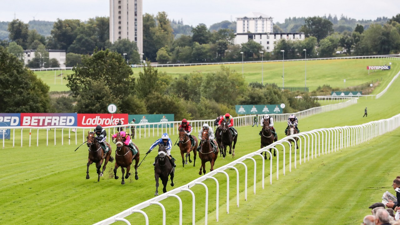 Hamilton Cancels Friday Fixture Due To Waterlogged Track Horse Racing News Racing Post