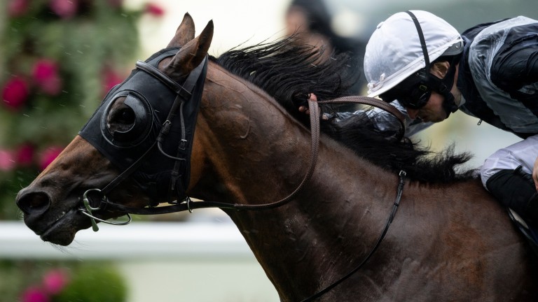 Head down: Circus Maximus lands the St James's Palace Stakes