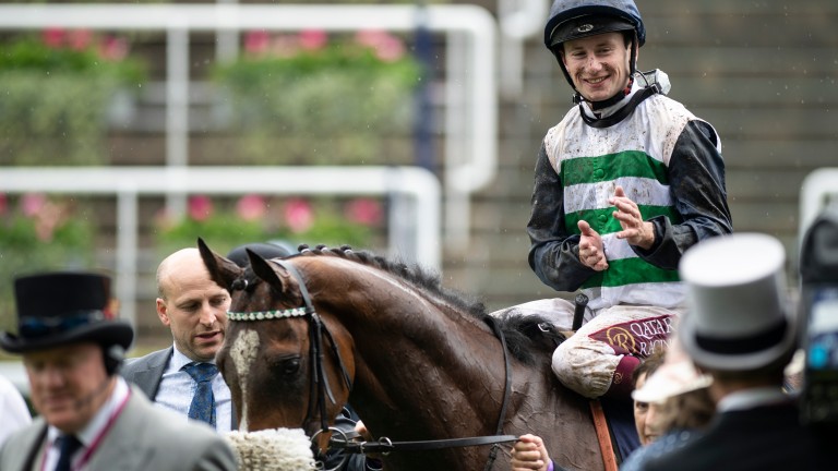 Dashing Willoughby returns to the winner's enclosure after landing a gamble in the Queen's Vase