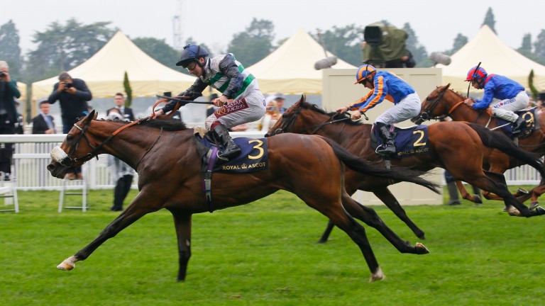 Dashing Willoughby sticks out his neck gamely to win the Queen's Vase