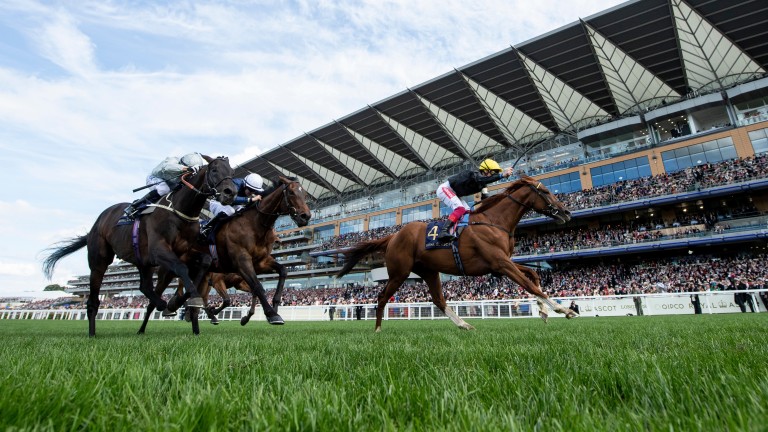 Stradivarius wins a second Gold Cup under Frankie Dettori at Royal Ascot