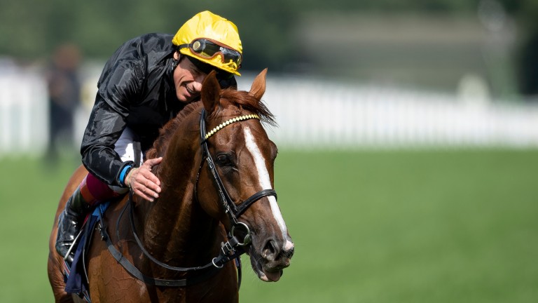 Frankie Dettori strokes Stradivarius after winning the Gold Cup