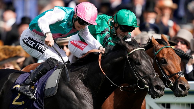 Biometric (nearside) gets the better of Turgenev in the closing stages of the Britannia Stakes