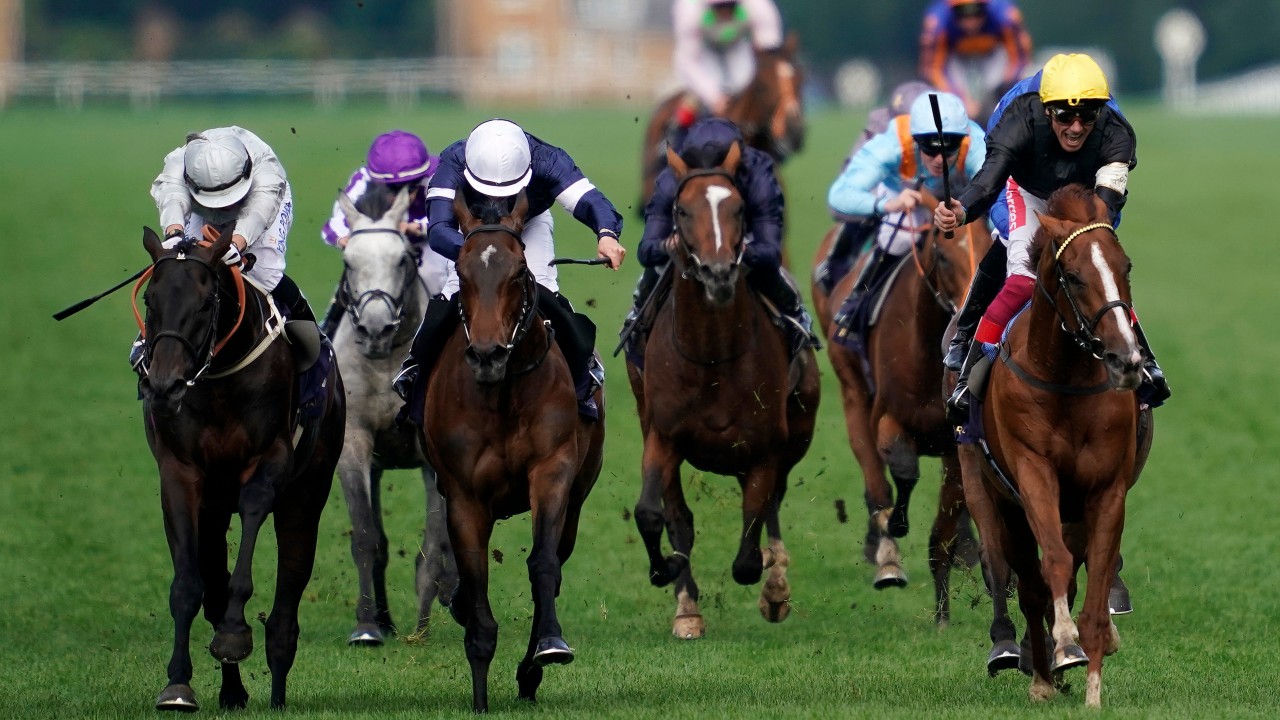 'He doesn't know how to lose' - Dettori hails Stradivarius after epic