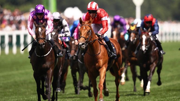 Daahyeh (red silks) wins the Albany from Celtic Beauty (left)