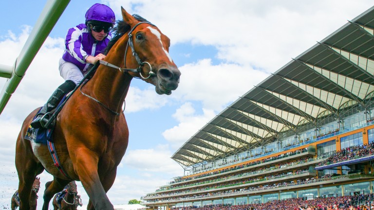 Japan: all class at Ascot