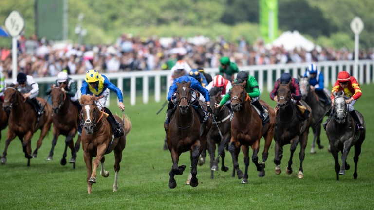 Blue Point battles it out with Dream Of Dreams (yellow cap) in a thrilling finish to the Diamond Jubilee Stakes