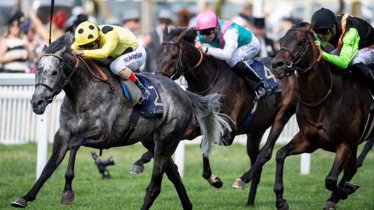 Nagano Gold (right): narrowly denied after an incident-packed race