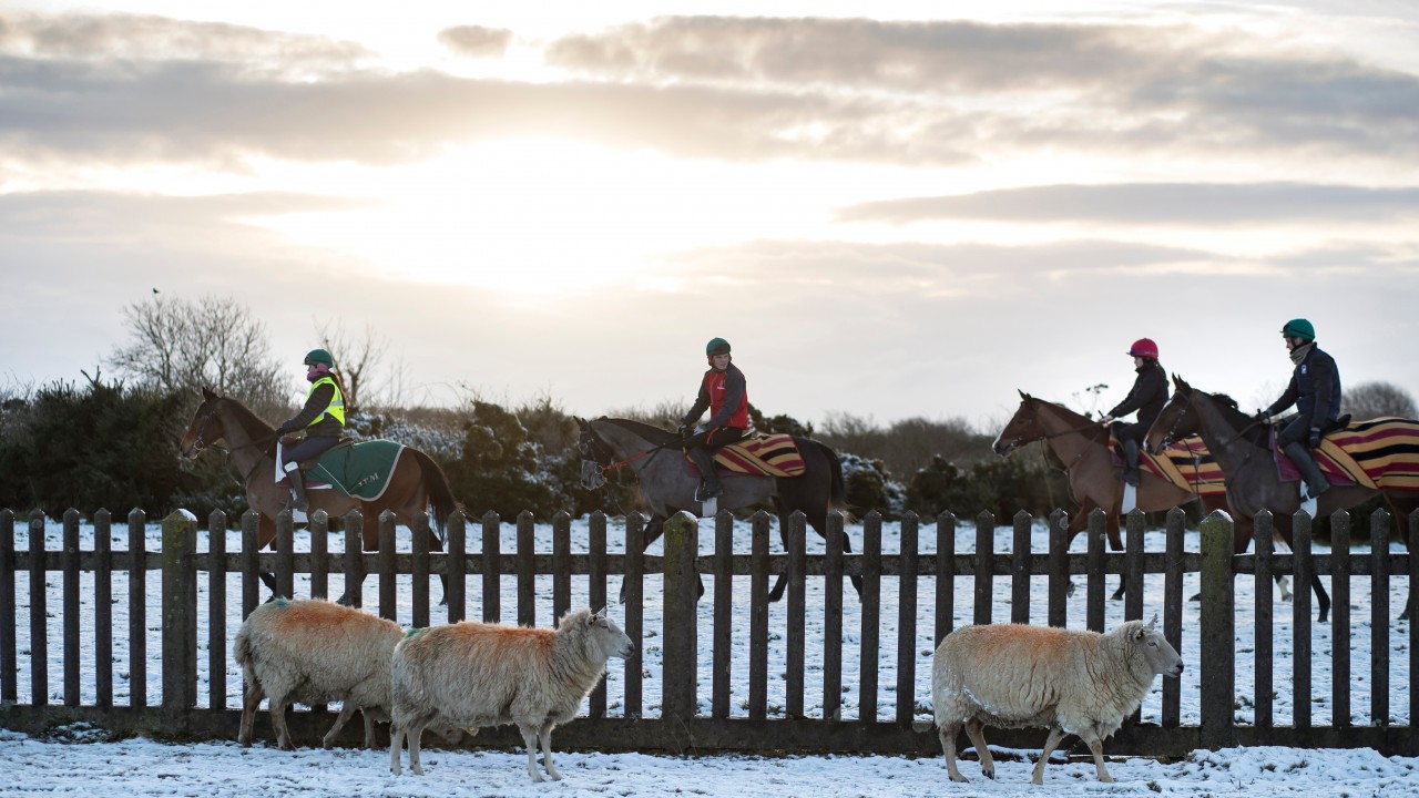 Curragh racecourse and training area worth €100 million to economy