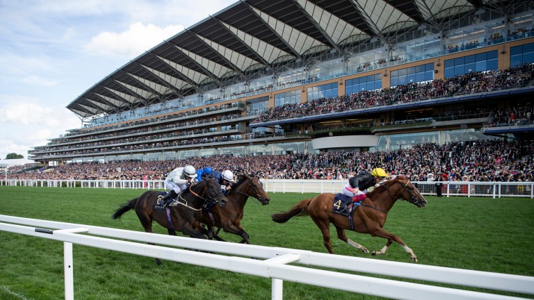 Stradivarius wins last year's Gold Cup at Ascot