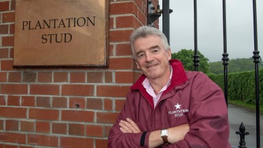 PIX OF RYANAIR SUPREMO MICHAEL O'LEARY AT HIS PLANTATION STUD IN NEWMARKET.