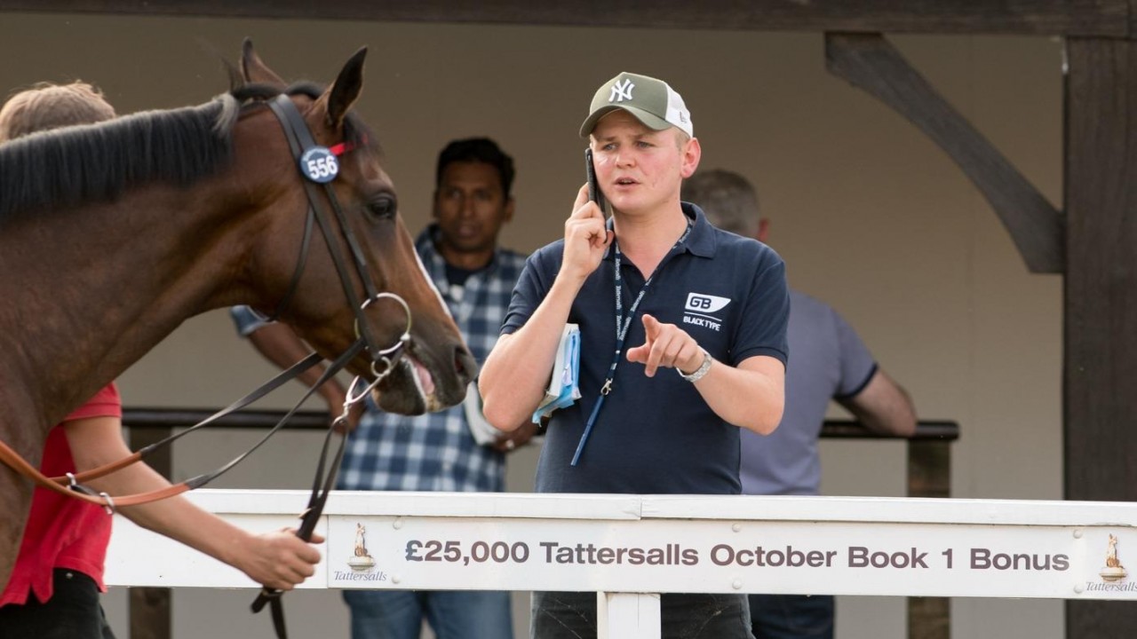 Boughey stocks up at Tattersalls as new training career beckons