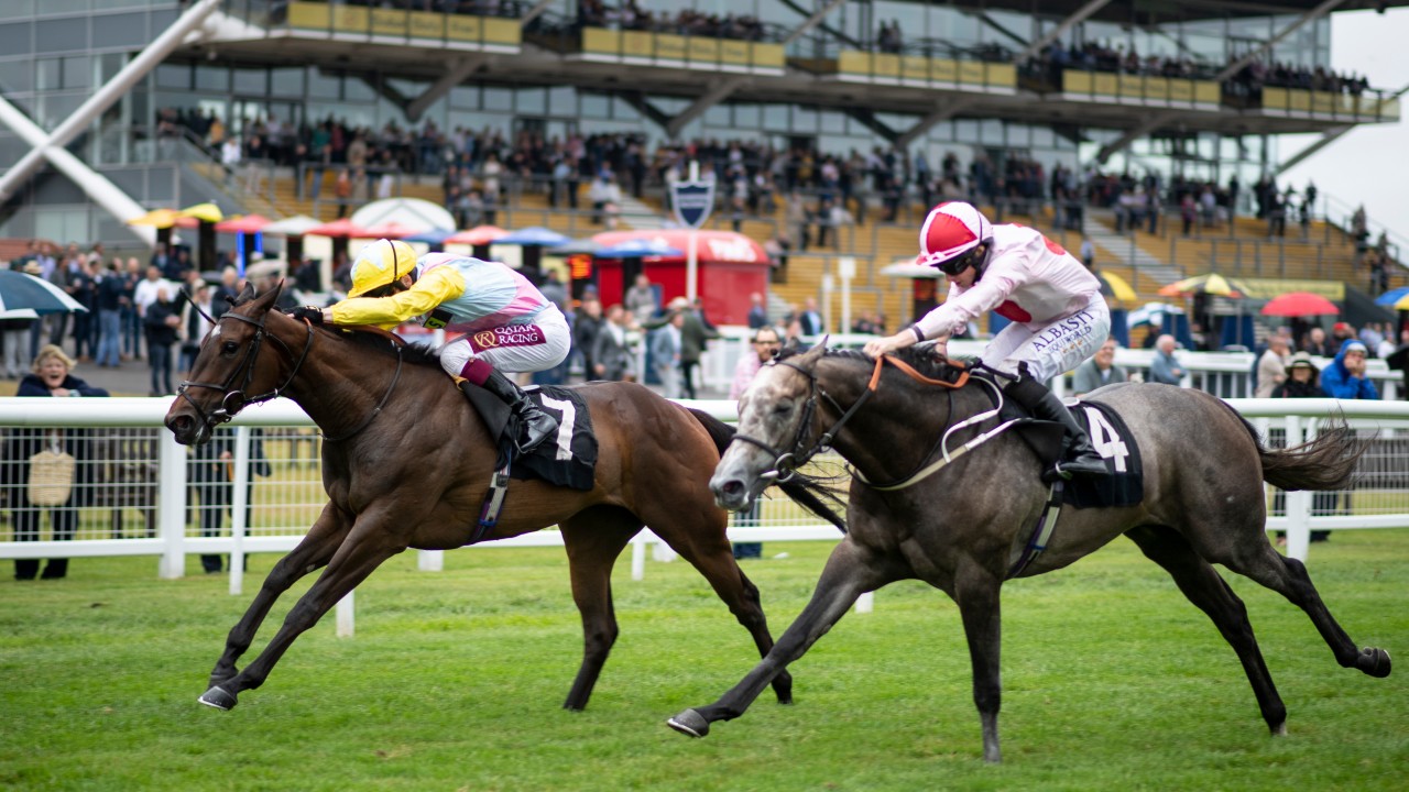 Horses in Durban sex Sex workers: