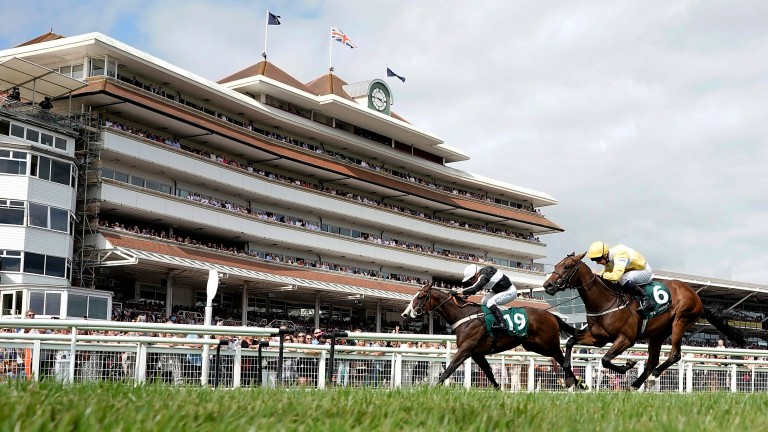 Newbury has warned it will be "carefully reviewing" its investment in prize-money