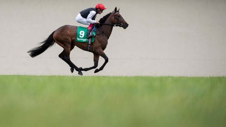 Star Catcher, ears pricked, and Frankie Dettori after Irish Oaks success