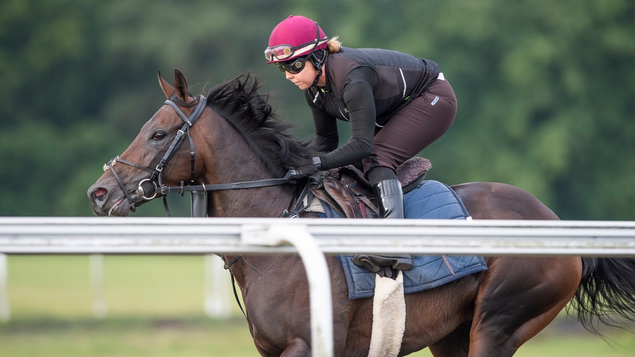 Gunning For Goodwood Too Darn Hot In The Right Place For Sussex Showdown Horse Racing News Racing Post