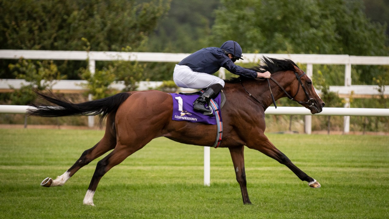 Armory Takes Aim At Cox Plate For O Brien But Magic Wand Ruled Out Horse Racing News Racing Post